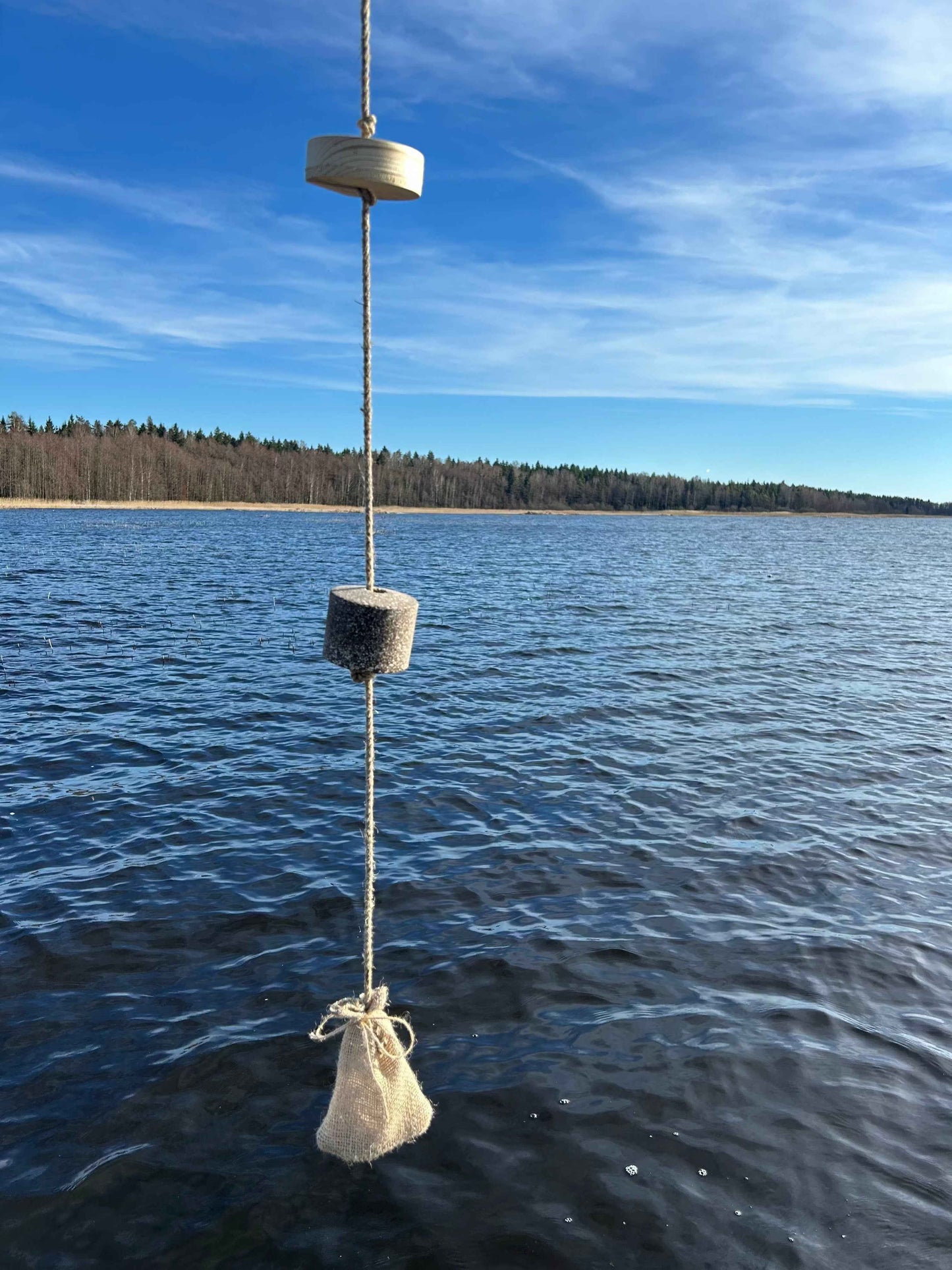 Masals žuvims + sistemėlė – pilnas viliojimo rinkinys