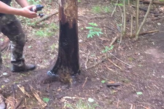 Nudžiūvęs medis, užteptas šernų viliokliu „Daugiau sakų“