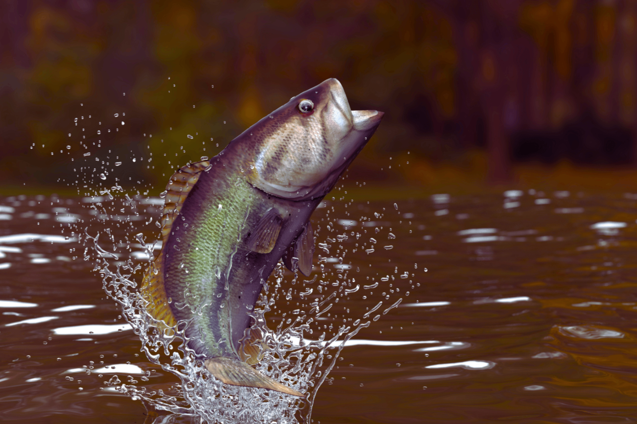 Masals masalas žvejybai – natūralus vilioklis žuvims 